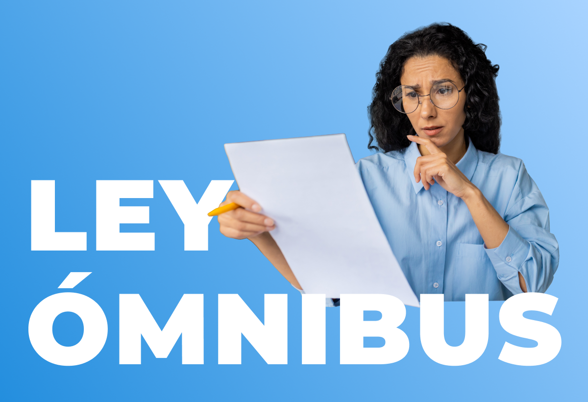 Ley Ómnibus en Argentina